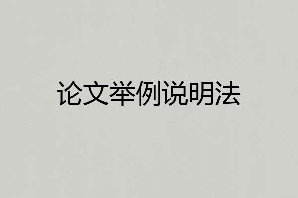 论文举例说明法