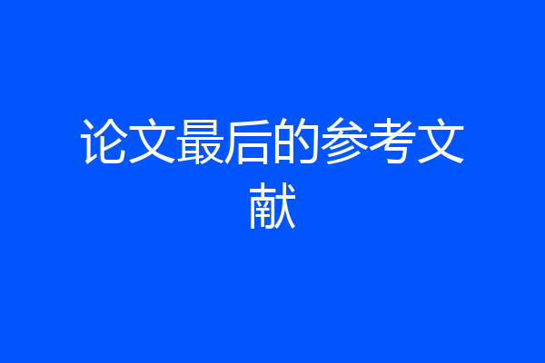 论文最后的参考文献