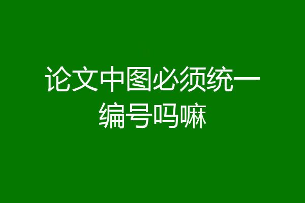论文中图必须统一编号吗嘛