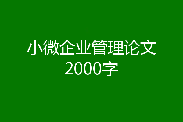 小微企业管理论文2000字