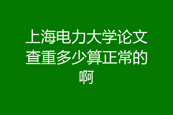 上海电力大学论文查重多少算正常的啊