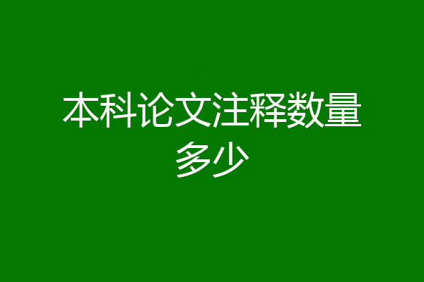 本科论文注释数量多少