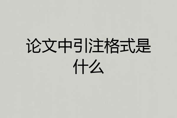 论文中引注格式是什么