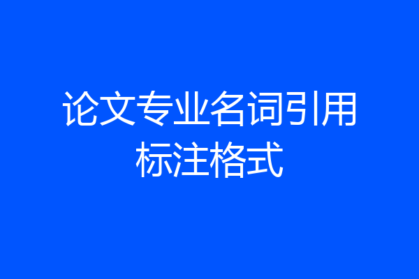 论文专业名词引用标注格式