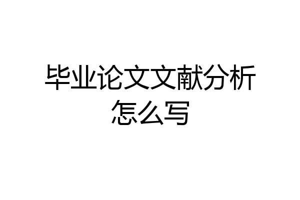 毕业论文文献分析怎么写