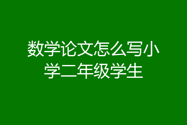 数学论文怎么写小学二年级学生