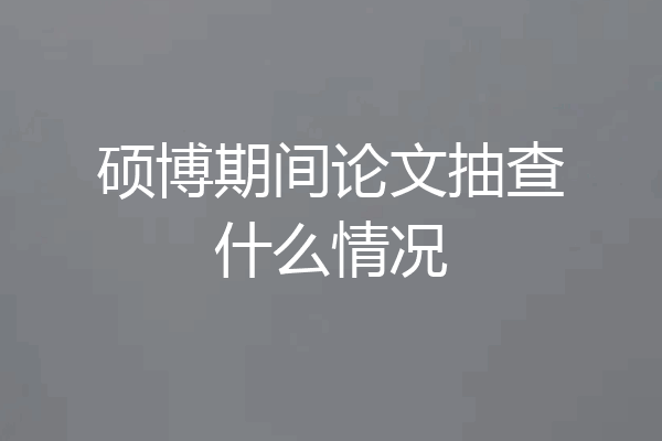 硕博期间论文抽查什么情况