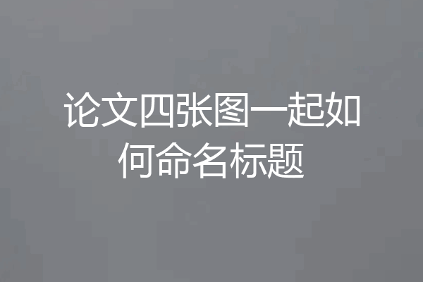 论文四张图一起如何命名标题