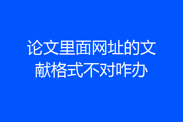 论文里面网址的文献格式不对咋办