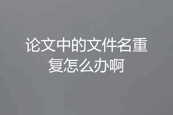 论文中的文件名重复怎么办啊