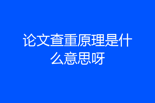论文查重原理是什么意思呀