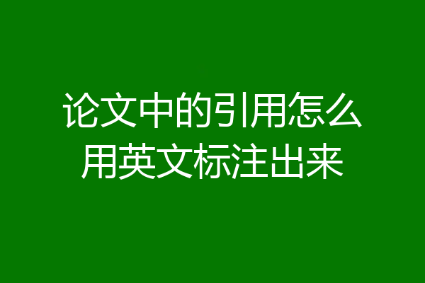 论文中的引用怎么用英文标注出来