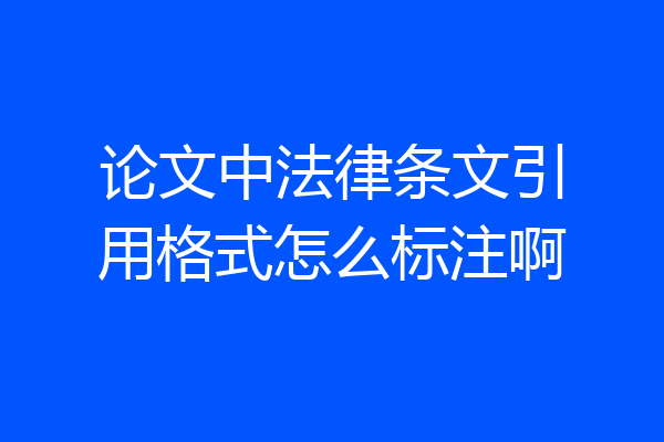 论文中法律条文引用格式怎么标注啊
