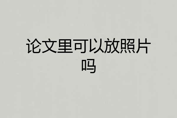论文里可以放照片吗