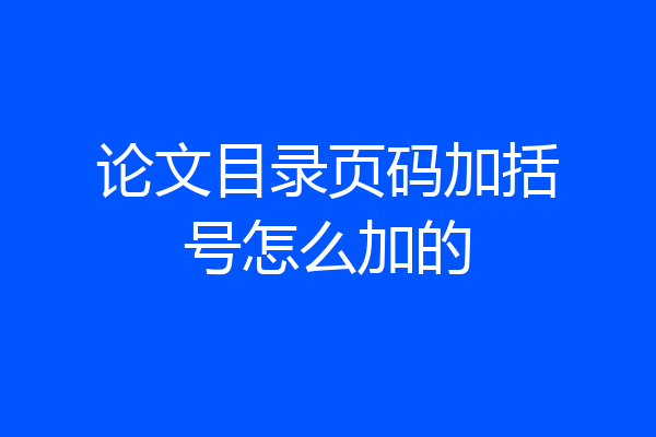论文目录页码加括号怎么加的