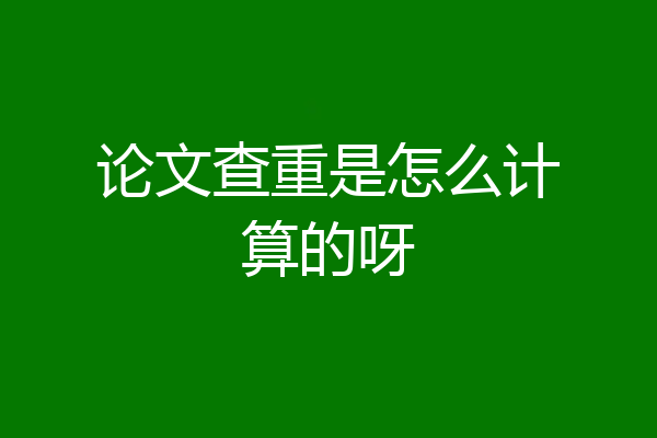 论文查重是怎么计算的呀