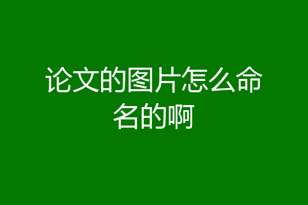 论文的图片怎么命名的啊