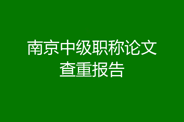 南京中级职称论文查重报告