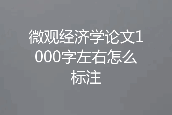 微观经济学论文1000字左右怎么标注
