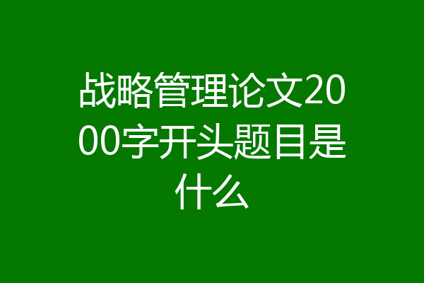 战略管理论文2000字开头题目是什么