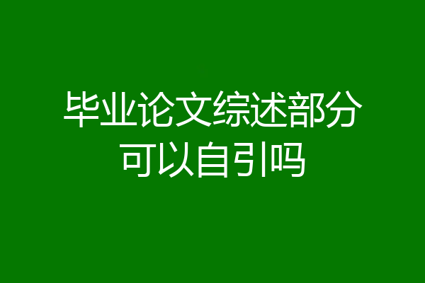 毕业论文综述部分可以自引吗