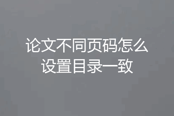 论文不同页码怎么设置目录一致