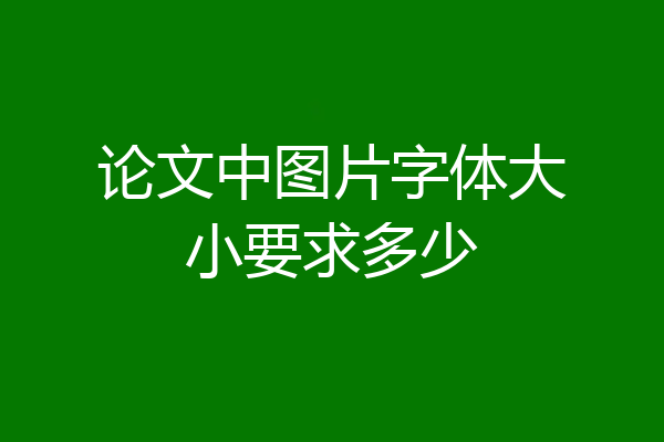 论文中图片字体大小要求多少