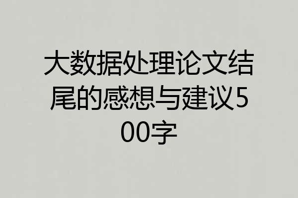 大数据处理论文结尾的感想与建议500字