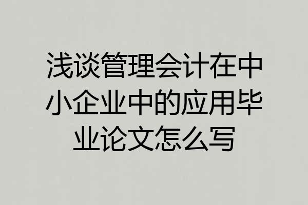 浅谈管理会计在中小企业中的应用毕业论文怎么写