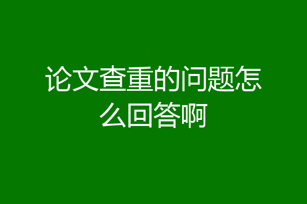 论文查重的问题怎么回答啊