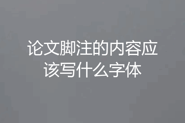 论文脚注的内容应该写什么字体