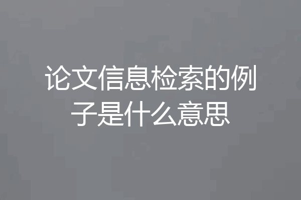 论文信息检索的例子是什么意思