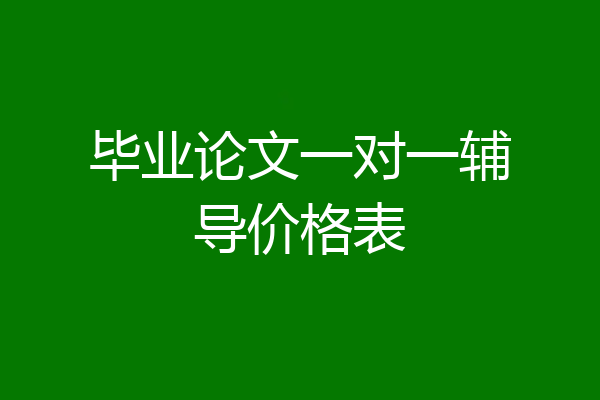 毕业论文一对一辅导价格表