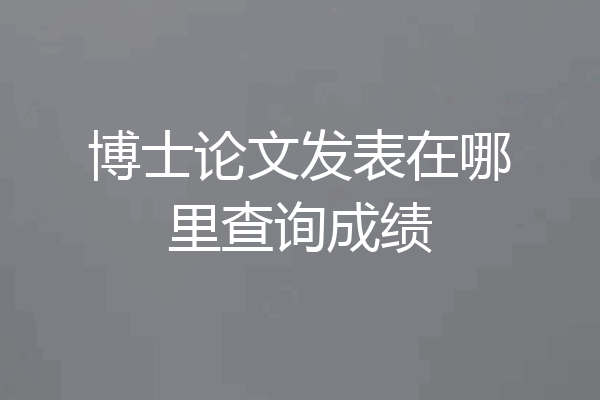 博士论文发表在哪里查询成绩