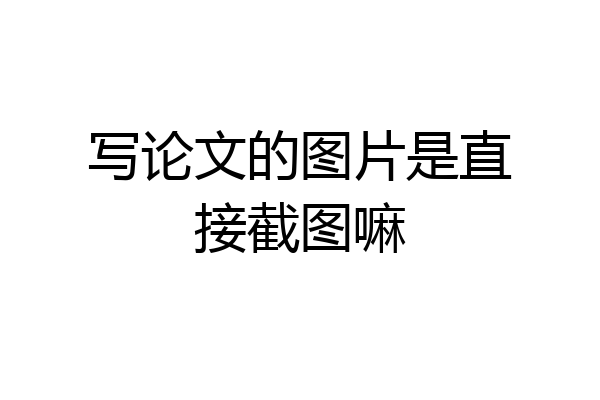 写论文的图片是直接截图嘛