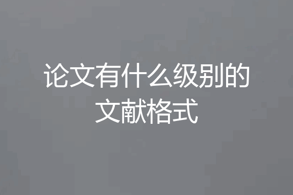 论文有什么级别的文献格式