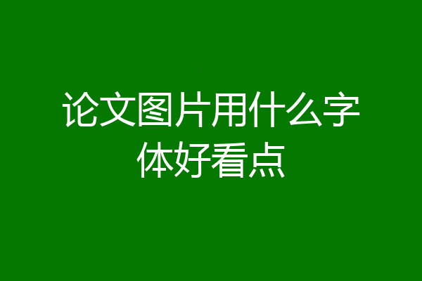 论文图片用什么字体好看点