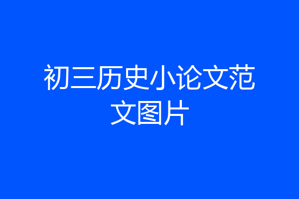 初三历史小论文范文图片