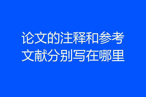 论文的注释和参考文献分别写在哪里