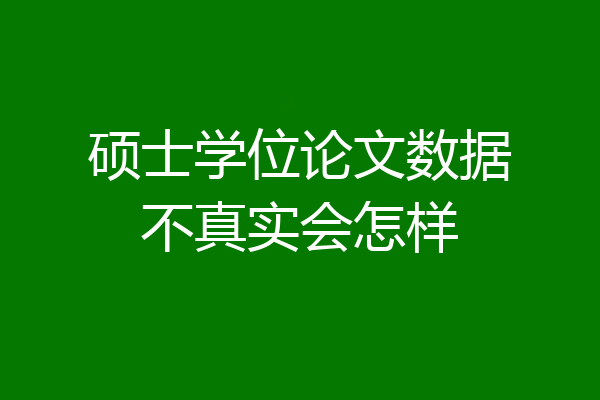硕士学位论文数据不真实会怎样