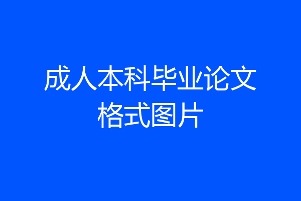成人本科毕业论文格式图片