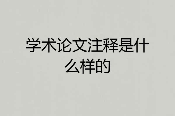 学术论文注释是什么样的