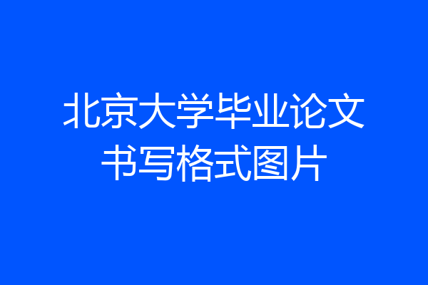 北京大学毕业论文书写格式图片