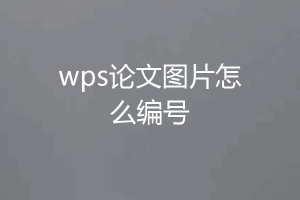 wps论文图片怎么编号