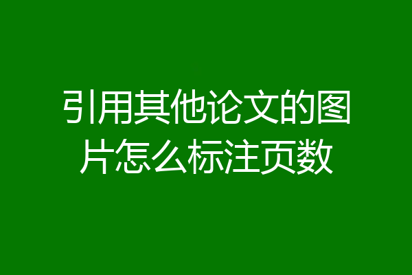 引用其他论文的图片怎么标注页数