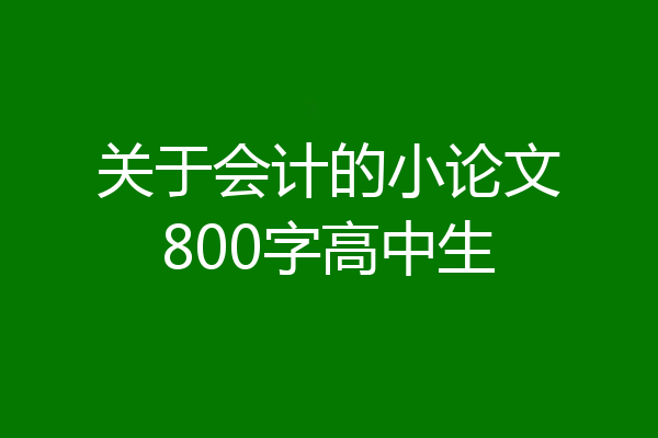 关于会计的小论文800字高中生