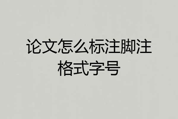 论文怎么标注脚注格式字号