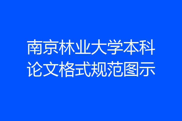 南京林业大学本科论文格式规范图示