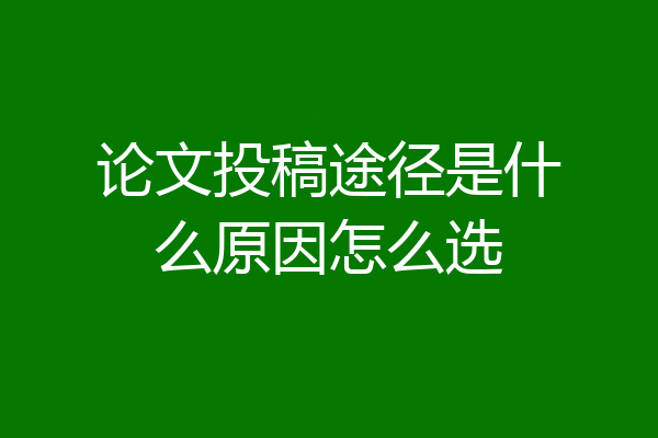 论文投稿途径是什么原因怎么选