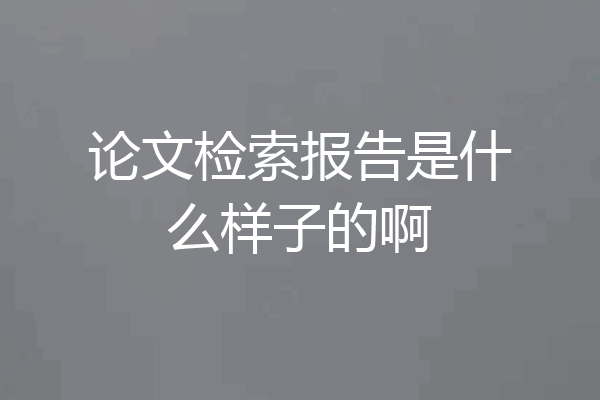 论文检索报告是什么样子的啊